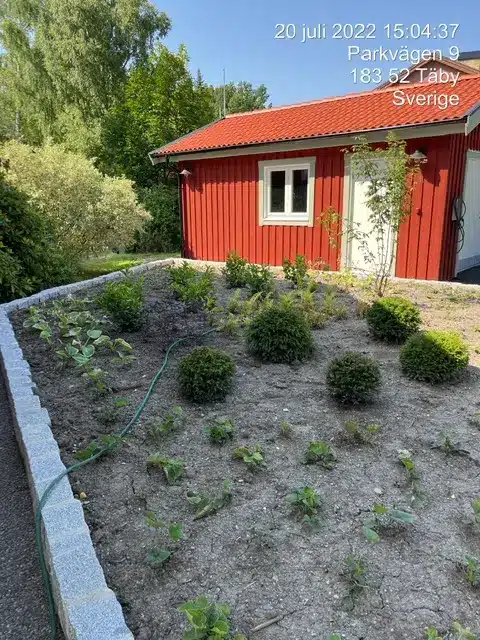 Tradgardsanläggning_stockholm